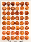 10MM Orange Spiny Oyster Cabochons , (Pack of 2 pc.)natural spiny oyster, round cabs. AAA Quality