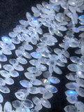 Rainbow Moonstone Faceted Marquise Beads 7X12MM , Length of Strand is 8" Natural Moonstone with Blue Flash and Transparent quality.