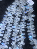 Rainbow Moonstone Faceted Marquise Beads 7X12MM , Length of Strand is 8" Natural Moonstone with Blue Flash and Transparent quality.