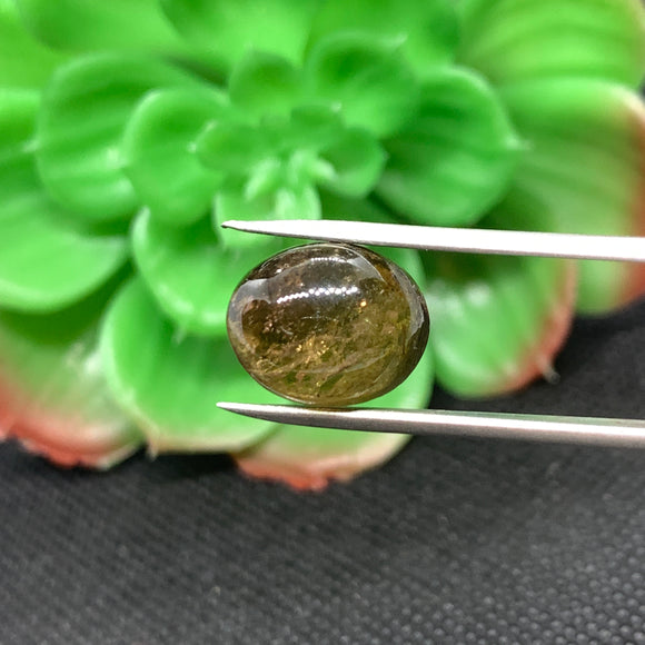 Tourmaline Cabochon , Size 12X14 MM , weight 10 carat ,Green Tourmaline gemstone loose cabs, code #T 53 Green Tourmaline cabs