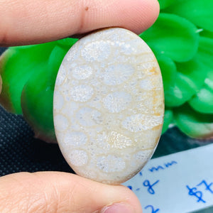 Fossil Coral Cabochon  39X27 MM , Code FC-02  weight -10.9 gm Natural Fossil coral Cabs, Gemstone Pendant .