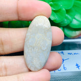 Fossil Coral Cabochon  45.5X40 MM , Code FC-06  weight -7.5 gm Natural Fossil coral Cabs, Gemstone Pendant .