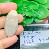 Fossil Coral Cabochon 45.5X40 MM , Code FC-06 weight -7.5 gm Natural Fossil coral Cabs, Gemstone Pendant .