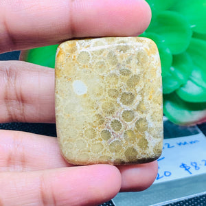 Fossil Coral Cabochon  38.50X32 MM , Code FC-20 weight -13.6 gm Natural Fossil coral Cabs, Gemstone Pendant .