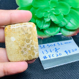 Fossil Coral Cabochon 38.50X32 MM , Code FC-20 weight -13.6 gm Natural Fossil coral Cabs, Gemstone Pendant .