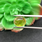 Tourmaline Cabochon , Size 9X13 MM , weight 6.5 carat ,Green Tourmaline gemstone loose cabs, code #T 44 Green Tourmaline cabs