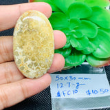 Fossil Coral Cabochon  50X30 MM , Code FC-10  weight -12.7 gm Natural Fossil coral Cabs, Gemstone Pendant .