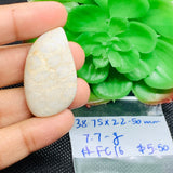 Fossil Coral Cabochon 39X22.50 MM , Code FC-16 weight -7.7 gm Natural Fossil coral Cabs, Gemstone Pendant .