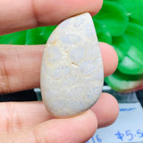 Fossil Coral Cabochon 39X22.50 MM , Code FC-16 weight -7.7 gm Natural Fossil coral Cabs, Gemstone Pendant .