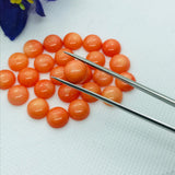 8MM Sea bamboo Coral cabochon , Pink coral Cabs, Gemstone loose cabs . Pink cabochon. Ring size cabs. earring pair , Pack of 6 Pcs.