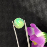 Ethiopian Opal 8MM Cabochon Code E#15- Weight 1.35 cts  AAA Quality  Ethiopian Opal Round Cabs , Pack of 1 PC Video Available