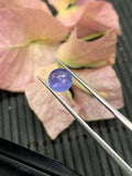 6mm Tanzanite Cabochon Round Calibrated Size Code #T131 -4A Quality Natural Tanzanite Cabs-Medium Blue Color Tanzanites