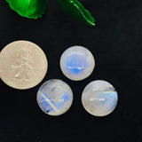 14MM MOONSTONE ROUND CABOCHON , Pack of 1 pcs. Blue Fire Moonstone cabs . Moonstone Loose Cabs, Origin India .