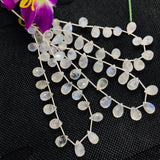 Moonstone Faceted 7X10MM Drops, Rainbow Briolettes, Faceted Drop shape. gemstone drops. length 8 Inch , Video Available.