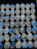 Moonstone 12X16mm Oval Cabochon , Pack of 2 Pcs.- Calibrated Size AAA quality cabochon- loose gemstone- Rainbow Moonstone Cabs