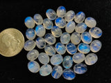 8X10MM Moonstone Oval Cabochon AAA Rainbow Moonstone Cabochon-Natural Untreated Strong Blue Fire- Rainbow (Pack of 5 Pc.)