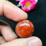 Horn Coral Cabochon , code #1-6 , Natural coral cabs , Origin Utah, USA . coral loose stone