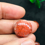 Horn Coral Cabochon , code #1-6 , Natural coral cabs , Origin Utah, USA . coral loose stone