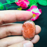 Horn Coral Cabochon , code #7-14 , Natural coral cabs , Origin Utah, USA . coral loose stone
