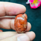 Horn Coral Cabochon , code #7-14 , Natural coral cabs , Origin Utah, USA . coral loose stone