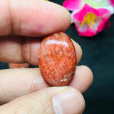 Horn Coral Cabochon , code #7-14 , Natural coral cabs , Origin Utah, USA . coral loose stone