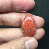 Horn Coral Cabochon , code #15-18 , Natural coral cabs , Origin Utah, USA . coral loose stone