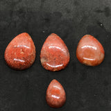Horn Coral Cabochon , code #15-18 , Natural coral cabs , Origin Utah, USA . coral loose stone