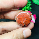 Horn Coral Slice , code #23-28 , Natural coral , Origin Utah, USA . coral loose stone