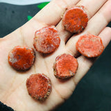 Horn Coral Slice , code #23-28 , Natural coral , Origin Utah, USA . coral loose stone