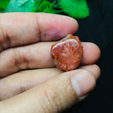 Horn Coral Slice , code #37-40 , Natural coral  , Origin Utah, USA . coral loose stone