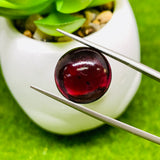 Garnet Round 15MM Cabochon ,AAAA Quality - Garnet Round Cabs - Garnet Stones , gemstone Cabs , Loose gemstone , Origin India, Pack of 1 pc