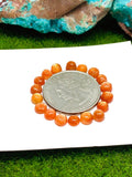 4MM Sunstone Round Cabochon- Pack of 5 Pieces  -AAA Quality -Natural Sunstone Cabs- Sunstone Round Cabs