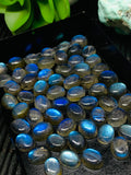 Labradorite Cabochon 7x9 mm - Pack of 4 Pieces - Code #A7 - Blue Color AAA Quality - Natural Labradorite Cabs - Labradorite Stone