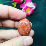 Horn Coral Cabochon , code #7-14 , Natural coral cabs , Origin Utah, USA . coral loose stone