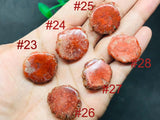 Horn Coral Slice , code #23-28 , Natural coral , Origin Utah, USA . coral loose stone