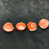 Horn Coral Slice , code #37-40 , Natural coral , Origin Utah, USA . coral loose stone