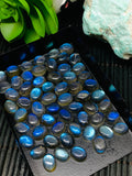 Labradorite Cabochon 7x9 mm - Pack of 4 Pieces - Code #A7 - Blue Color AAA Quality - Natural Labradorite Cabs - Labradorite Stone