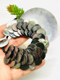 Black MOP Shell Pearl Bracelet 15 mm Size - Code #A15- AAA Quality- Length 7.5'' - Shell Pearl Coin Bracelet
