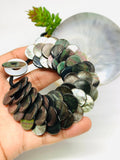 Black MOP Shell Pearl Bracelet 15 mm Size - Code #A15- AAA Quality- Length 7.5'' - Shell Pearl Coin Bracelet