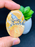 Maligano Jasper Cabochon • Code #A42- A46 • AAA Quality • Natural Maligano Jasper Cabs