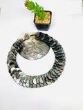 Black MOP Shell Pearl Necklace 15 mm Size - Code #A7 - AAA Quality- Length 18'' -  Shell Coin Pearl - Shell Pearl Necklace
