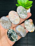 Ocean Jasper Cabochon • Code #A19-24 • AAA Quality • Natural Ocean Jasper Cabs