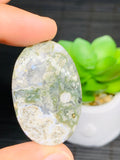 Ocean Jasper Cabochon • Code #A19-24 • AAA Quality • Natural Ocean Jasper Cabs