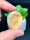 Black Plump Cabochon • Code A5- A8 • AAA Quality • Natural Black Plump Cabs • Black Plump Pendant