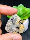 Dendritic Tiger Agate Cabochon • Code A21- A26 • AAA Quality • Natural Tiger Dendritic Agate Cabs • TIger Dendritic Agate Pendant