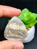 Dendritic Tiger Agate Cabochon • Code A21- A26 • AAA Quality • Natural Tiger Dendritic Agate Cabs • TIger Dendritic Agate Pendant