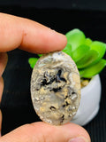 Dendritic Tiger Agate Cabochon • Code A27- A32 • AAA Quality • Natural Tiger Dendritic Agate Cabs • TIger Dendritic Agate Pendant