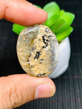 Dendritic Tiger Agate Cabochon • Code A33- A38 • AAA Quality • Natural Dendritic Agate Cabs • Dendritic Agate Pendant