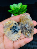 Dendritic Tiger Agate Cabochon • Code A39- A40 • AAA Quality • Natural Tiger Dendritic Agate Cabs • TIger Dendritic Agate Pendant