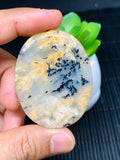 Dendritic Tiger Agate Cabochon • Code A39- A40 • AAA Quality • Natural Tiger Dendritic Agate Cabs • TIger Dendritic Agate Pendant